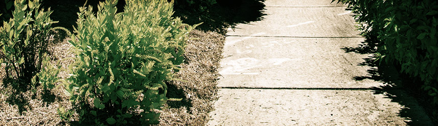 会员商城稳定的ddos免费测试